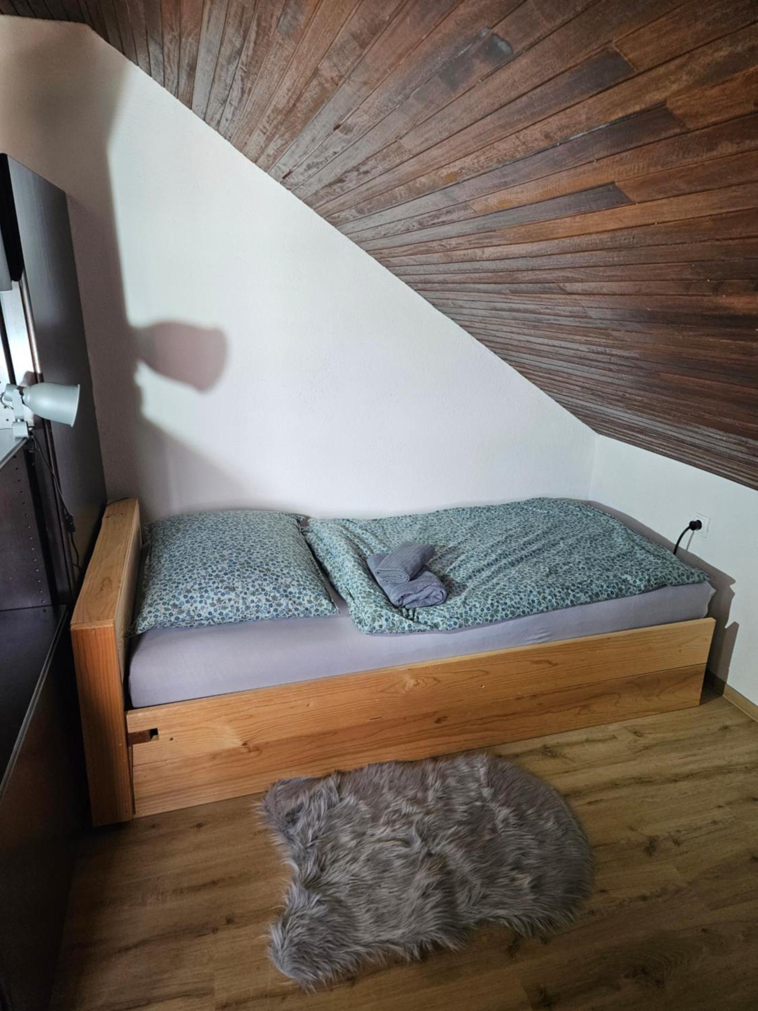 Holiday Home Na Vasi Gorenja Vas  المظهر الخارجي الصورة